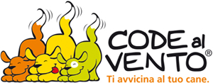Code al vento