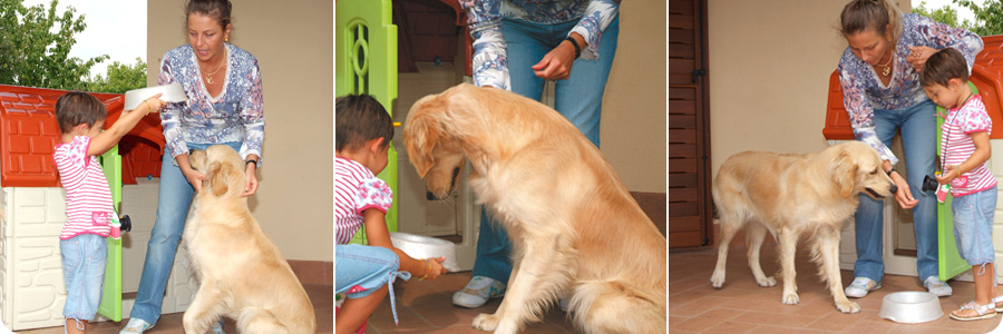 cane-e-bambino_02