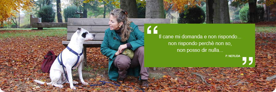 comunicazione_03