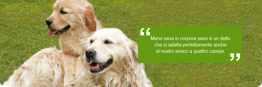 stato-di-salute_01