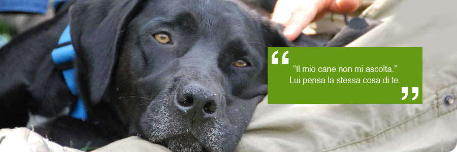comunicazione_02